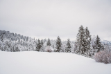 skieen tijdens de wintersport